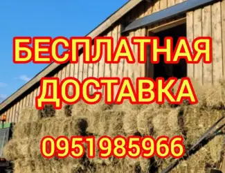 Зображення для оголошення Сено с доставкой по Украине. Луговое (разнотравье), пырей, люцерна, солома в тюках мешках