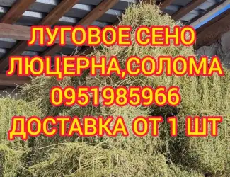 Зображення для оголошення Сено с доставкой по Украине. Луговое (разнотравье)