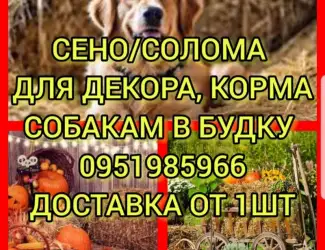 Зображення для оголошення Собакам в будку сено солома в тюках мешках с доставкой на адрес. Отборное