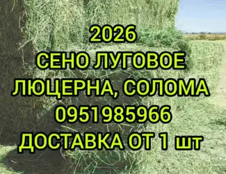 Зображення для оголошення Сено солома в тюках мешках с доставкой на адрес. Отборное. В наличии