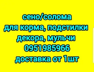 Зображення для оголошення Продам сено луговое, сено люцерны с доставкой