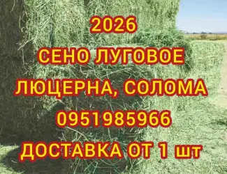Зображення для оголошення Продам сено луговое