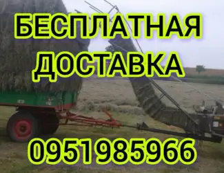 Зображення для оголошення Большие объёмы в наличии. Сено с бесплатной доставкой по Украине. Луговое, люцерна, солома