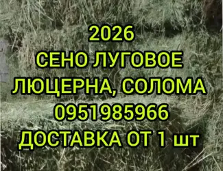 Зображення для оголошення Большие объёмы в наличии. Сено с доставкой по Украине. Луговое