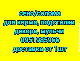 Зображення для оголошення Экологически чистое СЕНО в тюках. Большие объемы