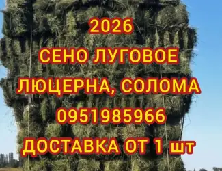 Зображення для оголошення Экологически чистое СЕНО в тюках. Большие объемы