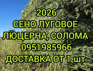 Зображення для оголошення В продаже сено в тюках (луговое