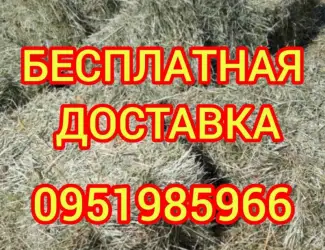 Зображення для оголошення Сено в тюках мешках (луговое, разнотравье, пырей, люцерна), солома из зерновых. Доставка