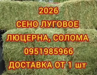 Зображення для оголошення Сено в тюках мешках (луговое