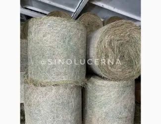 Зображення для оголошення Продам сіно люцерни в круглих тюках