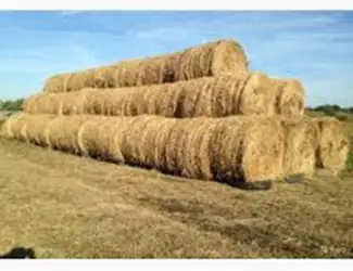 Зображення для оголошення Продам сено луговое в рулонах