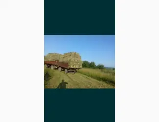 Зображення для оголошення Сіно зелене