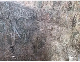 Зображення для оголошення Продам сіно