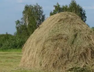 Зображення для оголошення Продам сіно, дешево