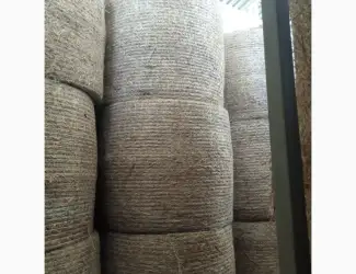 Зображення для оголошення Продам суху солому у циліндричних тюках
