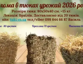 Солома пшенична