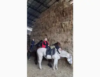 Зображення для оголошення Продам солому