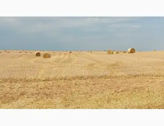 Зображення для оголошення Продам солому
