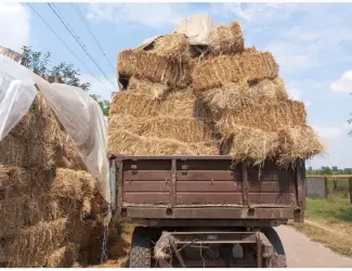Зображення для оголошення Продам солома