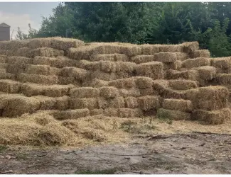 Зображення для оголошення Продам солому в тюках