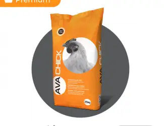 БМВД Гровер для бройлерів AVA Chick PRO BG 35%