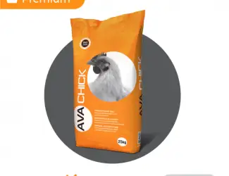 БМВД Фініш для бройлера AVA Chick PRO BF 35%