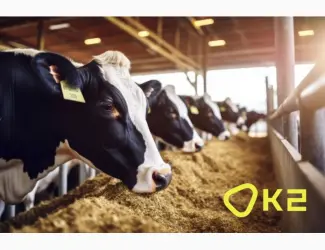 Зображення для оголошення Високопротеіновий соняшниковий концентрат ХайПро
