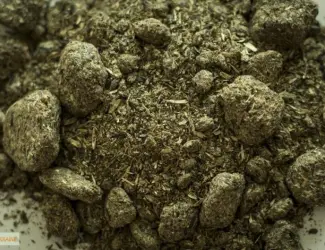 Зображення для оголошення Шрот подсолнечный