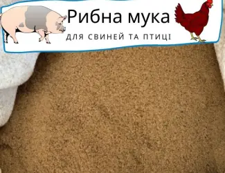 Зображення для оголошення Предлагаем качественную рыбную муку - протеин 63-66%, 69-73%