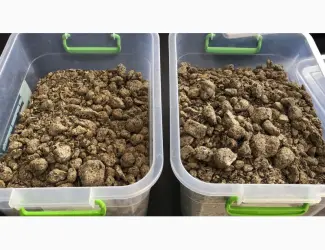 Зображення для оголошення Продам макуху-шрот соняшниковий