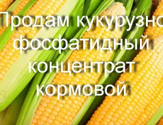 Зображення для оголошення Продам кукурузно-фосфатидный концентрат кормовой