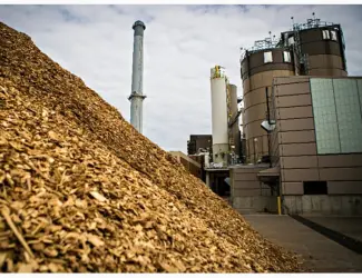 Зображення для оголошення Куплю відходи для кормів будь які