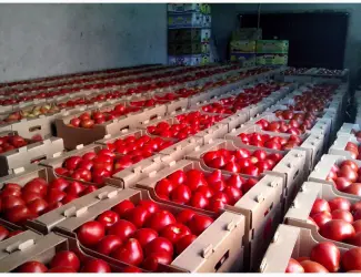 Продам ящик под помидор