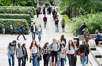 Зображення для оголошення Вища освіта та навчання в Норвегії