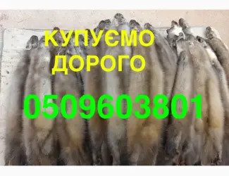 Зображення для оголошення Скупка купівля хутра куниці шкіри Мех НАЙДОРОЖЧЕ