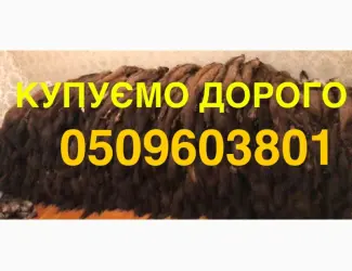 Зображення для оголошення Купуємо хутро шкіри куниці ДОРОГО мех