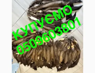 Зображення для оголошення Купуємо вичинене хутро шкіри куниці та хвости ДОРОГО