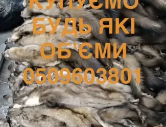 Зображення для оголошення Куплю шкуры мех куниці шкури дорого шкурки хутро