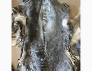 Продам шкіри каракульчі