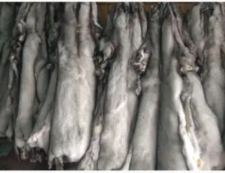 Продам шкурки фінського песця