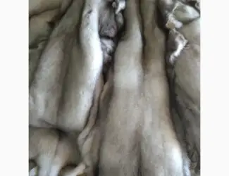 Продам шкірки Фінського песця