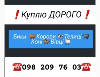 Зображення для оголошення Куплю ВРХ. Вінницька Хмельницька. Черкаська Житомирська Тернопільська Київська Чернівецька