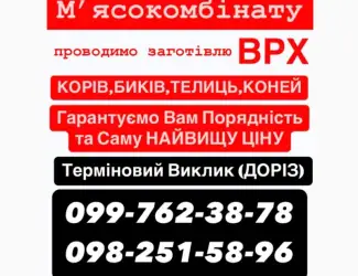 Мʼясокомбінат закуповує ВРХ
