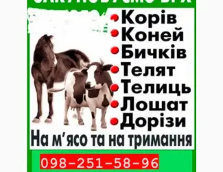 Скуповуємо ВРХ