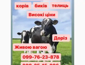 Закупка ВРХ
