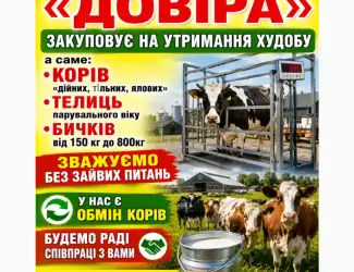 Фермерське Господарство «Довіра»