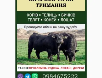 ВРХ дорого