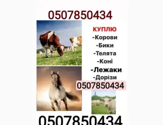 Зображення для оголошення Купівля врх