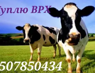 Зображення для оголошення Закупівлі врз
