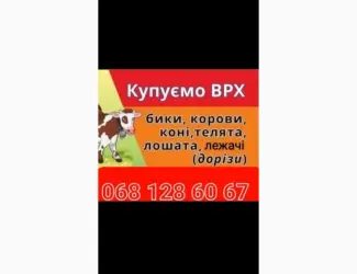 Зображення для оголошення Купить Врх На Мясо Та На Тримання
